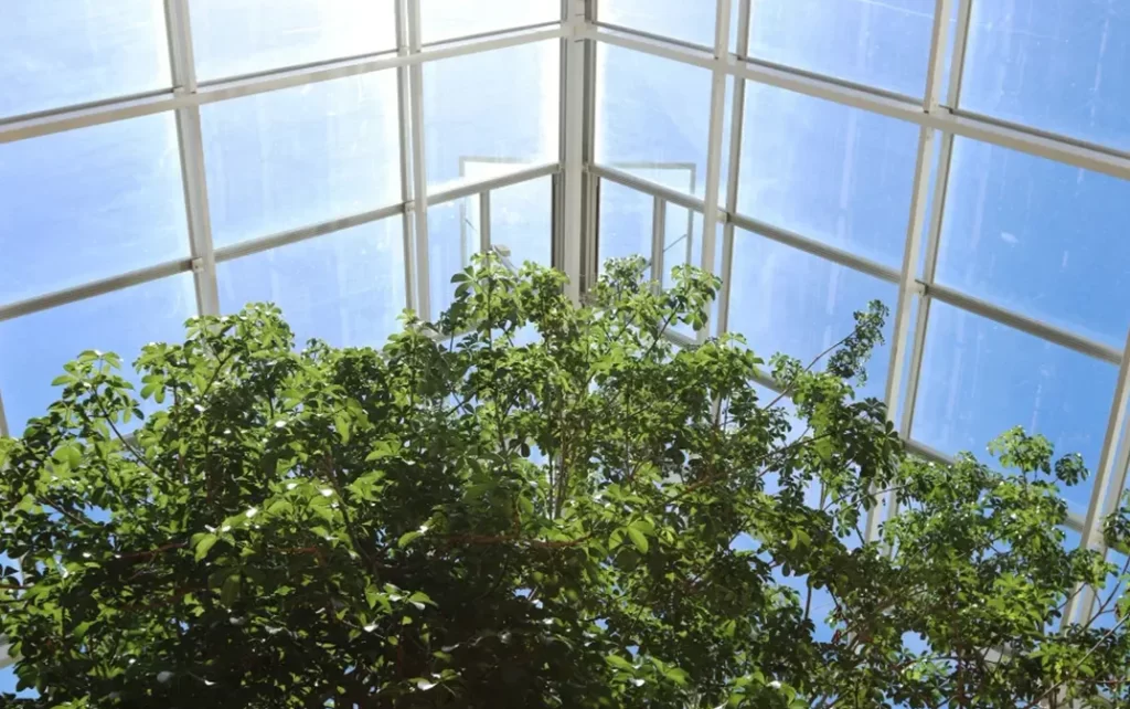 Roofing companies in Trivandrum